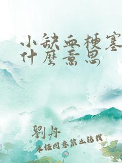 小缺血梗塞灶是什么意思
