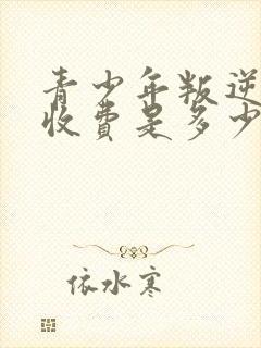 青少年叛逆学校收费是多少钱