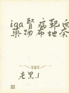 iga肾病靶向药物布地奈德多少钱