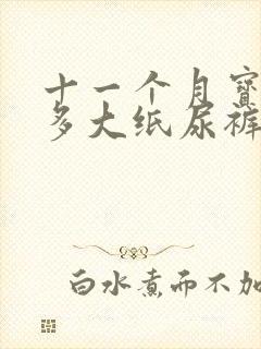 十一个月宝宝穿多大纸尿裤