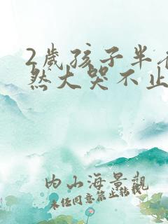 2岁孩子半夜突然大哭不止怎么回事