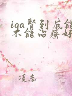 iga肾到底能不能治疗好呢