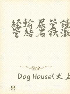 经输尿管镜输尿管结石钬激光治疗术