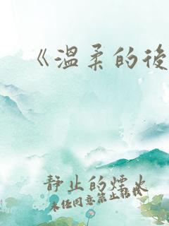 《温柔的后妈》