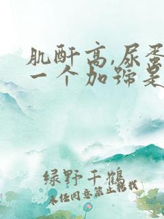 肌酐高,尿蛋白一个加号是什么原因