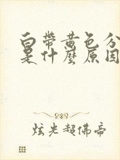 白带黄色分泌物是什么原因