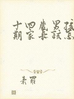 十四岁男孩叛逆期家长该怎么办