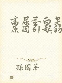 高尿蛋白是什么原因引起的