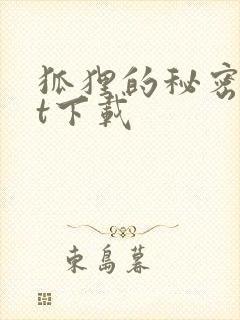 狐狸的秘密txt下载