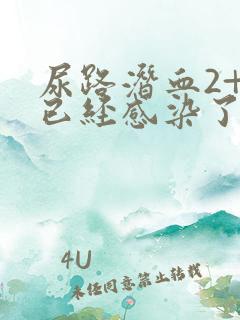 尿路潜血2+是已经感染了嘛