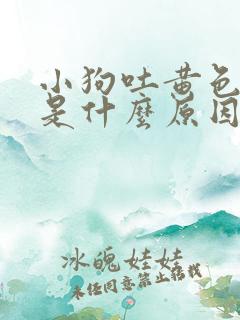 小狗吐黄色液体是什么原因