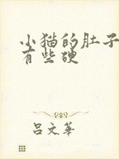 小猫的肚子很鼓有些硬