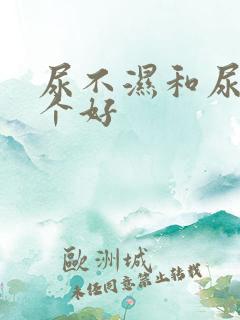 尿不湿和尿布哪个好