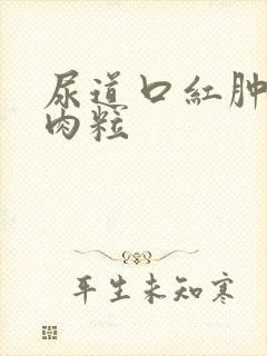 尿道口红肿有小肉粒