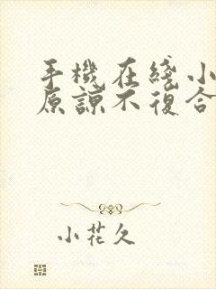 手机在线小说不原谅不复合苏小姐独美