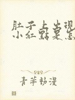 肚子上出现几个小红点是怎么回事