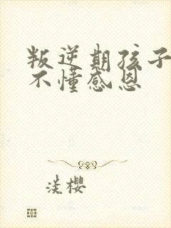 叛逆期孩子自私不懂感恩