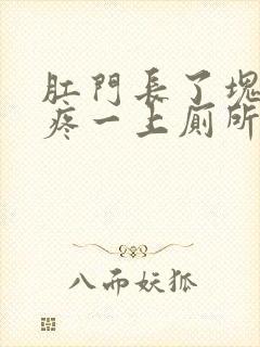 肛门长了块肉还疼一上厕所就出血