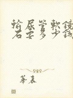 输尿管软镜取结石要多少钱