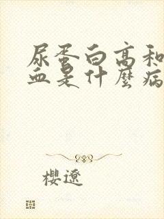 尿蛋白高和尿潜血是什么病