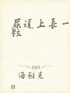 尿道上长一个肉粒