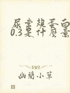 尿常规蛋白质+0.3是什么意思