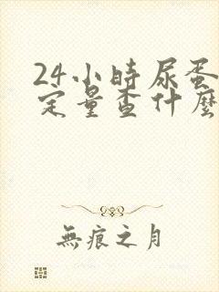 24小时尿蛋白定量查什么