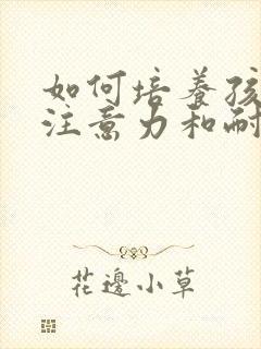 如何培养孩子的注意力和耐心