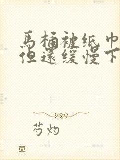 马桶被纸巾堵住但还缓慢下水