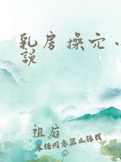 乳房 操穴 小说