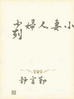 少妇人妻小说系列