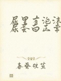 尿里有泡沫但是尿蛋白正常