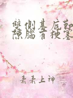 双侧基底节区腔隙脑有梗塞