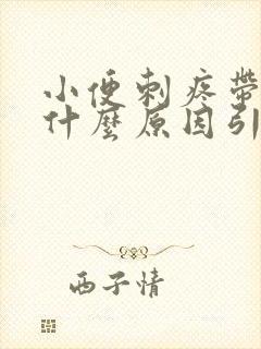 小便刺疼带血是什么原因引起的女