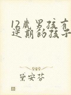 12岁男孩有叛逆期的孩子怎么去引导