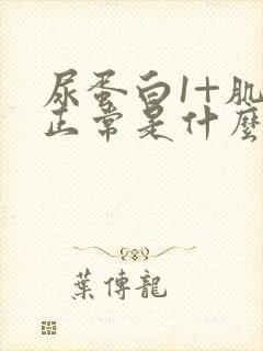 尿蛋白1+肌酐正常是什么原因?