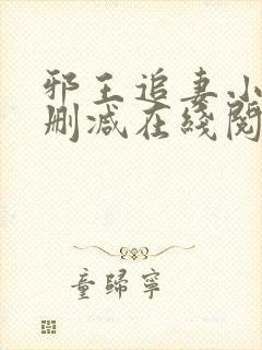 邪王追妻小说无删减在线阅读