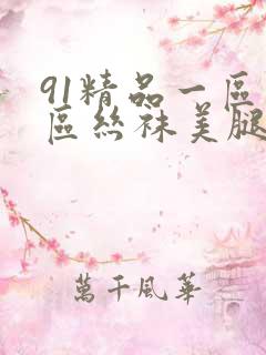 91精品一区二区丝袜美腿