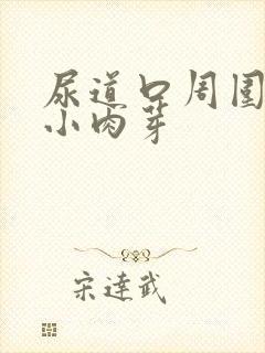 尿道口周围一圈小肉芽