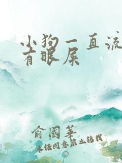 小狗一直流眼泪有眼屎