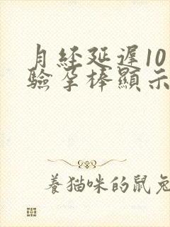 月经延迟10天验孕棒显示没怀孕