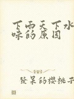 下雨天下水道反味的原因