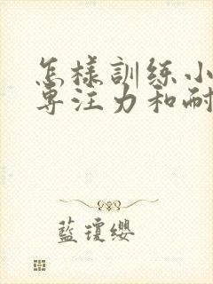 怎样训练小孩的专注力和耐心