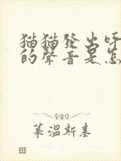 猫猫发出呼噜噜的声音是怎么回事