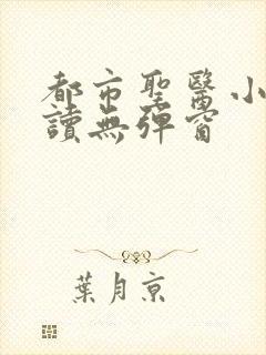 都市圣医小说阅读无弹窗