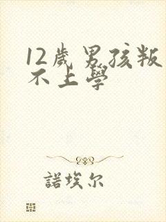 12岁男孩叛逆不上学