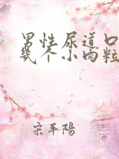 男性尿道口长了几个小肉粒