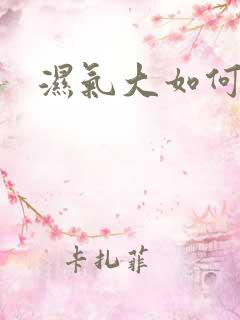 湿气大如何排湿