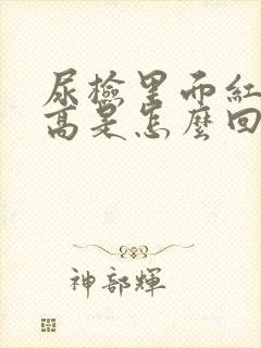 尿检里面红细胞高是怎么回事