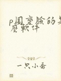 p图变脸的是什么软件